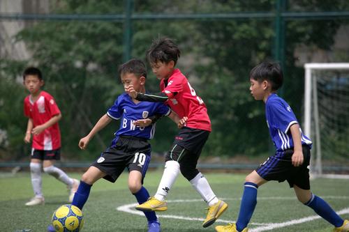 上海足球小将比赛直播_上海足球小将比赛