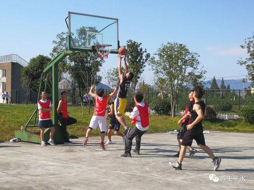 侣塘村篮球