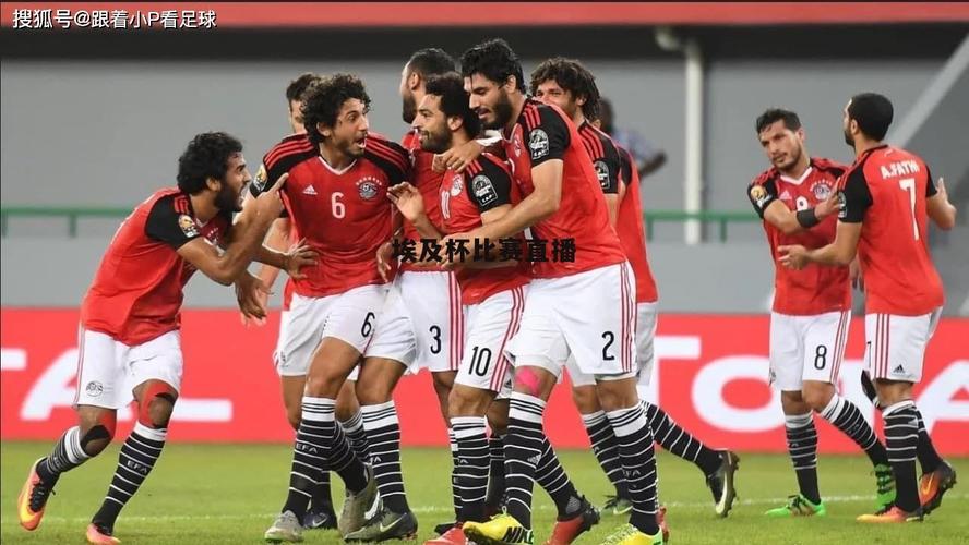 埃及超级足球联赛直播_埃及超级足球联赛直播哪里看