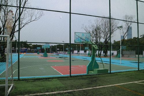 宜春篮球直播体育公园
