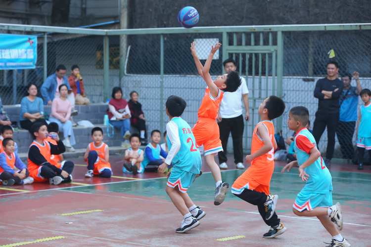 容城篮球训练营_容城篮球培训机构