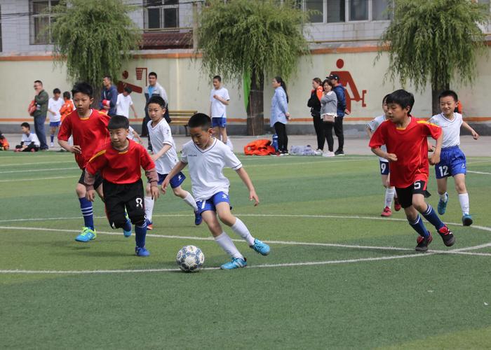 岑河小学比赛足球视频直播