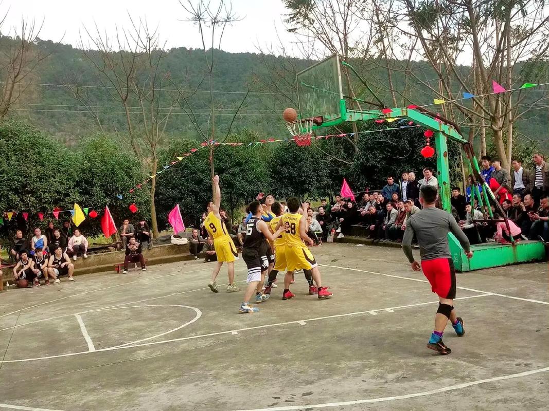 广西桂林临桂直播篮球