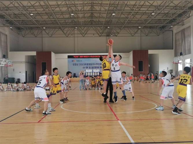 松阳县2023年篮球比赛