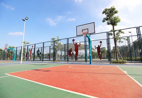 柳北体育园成人篮球俱乐部_柳南体育园篮球俱乐部