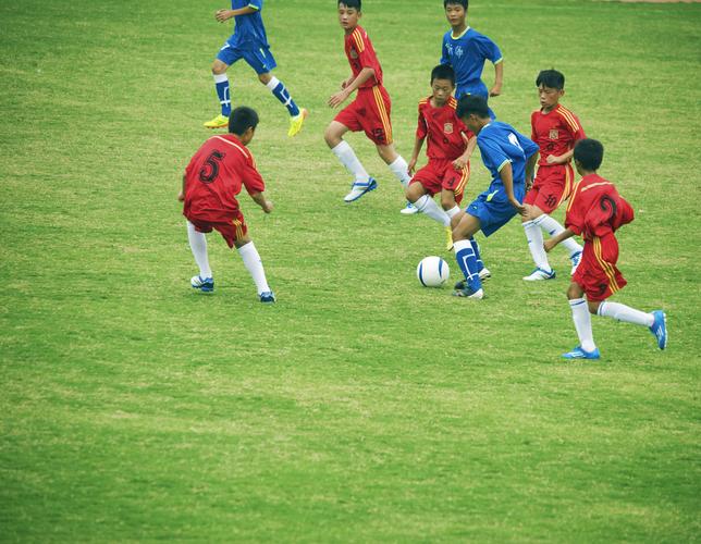 江苏省运会足球直播平台_省运会足球属于国家几级运动员