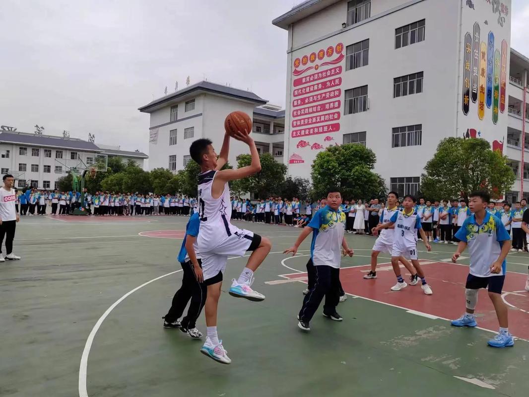紫云民族中学篮球直播