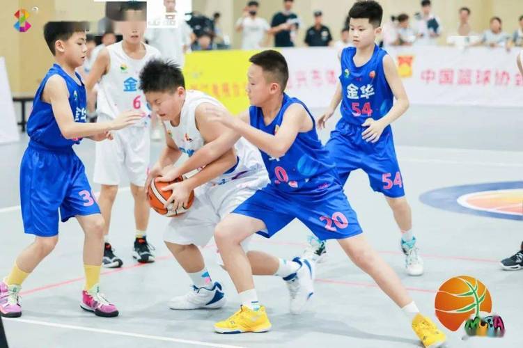 绍兴小篮球总决赛直播视频_浙江省小篮球总决赛直播
