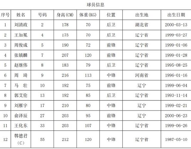 辽宁省运会足球队员名单