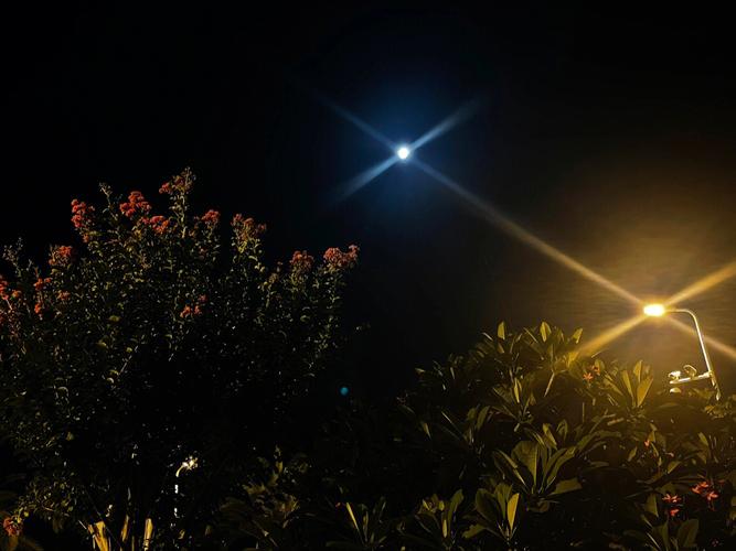 锦州明亮的月光篮球馆直播回放