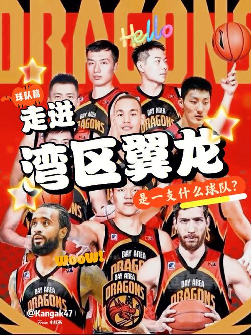 香港湾区翼龙篮球_香港湾区翼龙篮球队名单