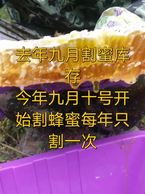黎川直播招人_黎川直销野山蜂蜜保存方法